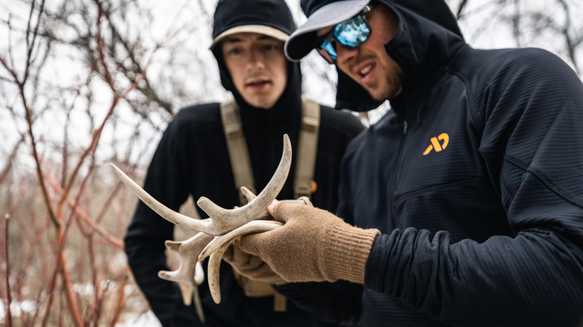 3 Things You Can Learn from Whitetail Sheds