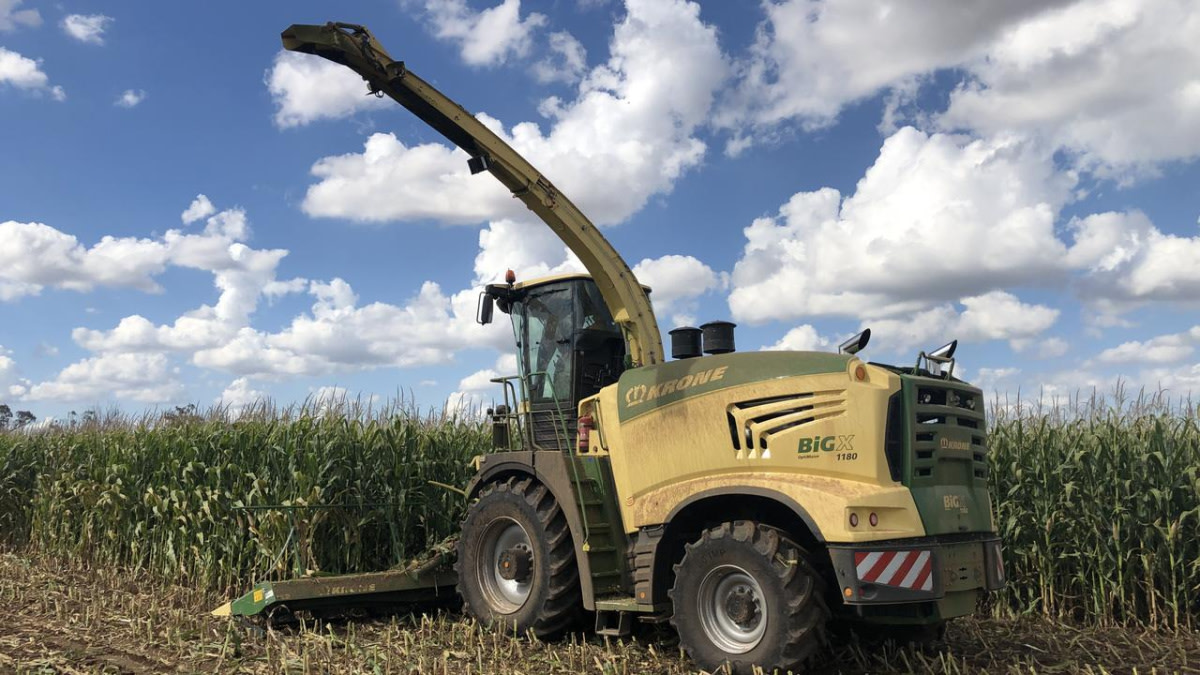Corn Chopper Kills 13-Year-Old Hunter in Michigan
