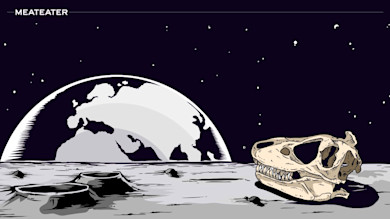 Fact Checker: Are There Dinosaur Fossils on the Moon?