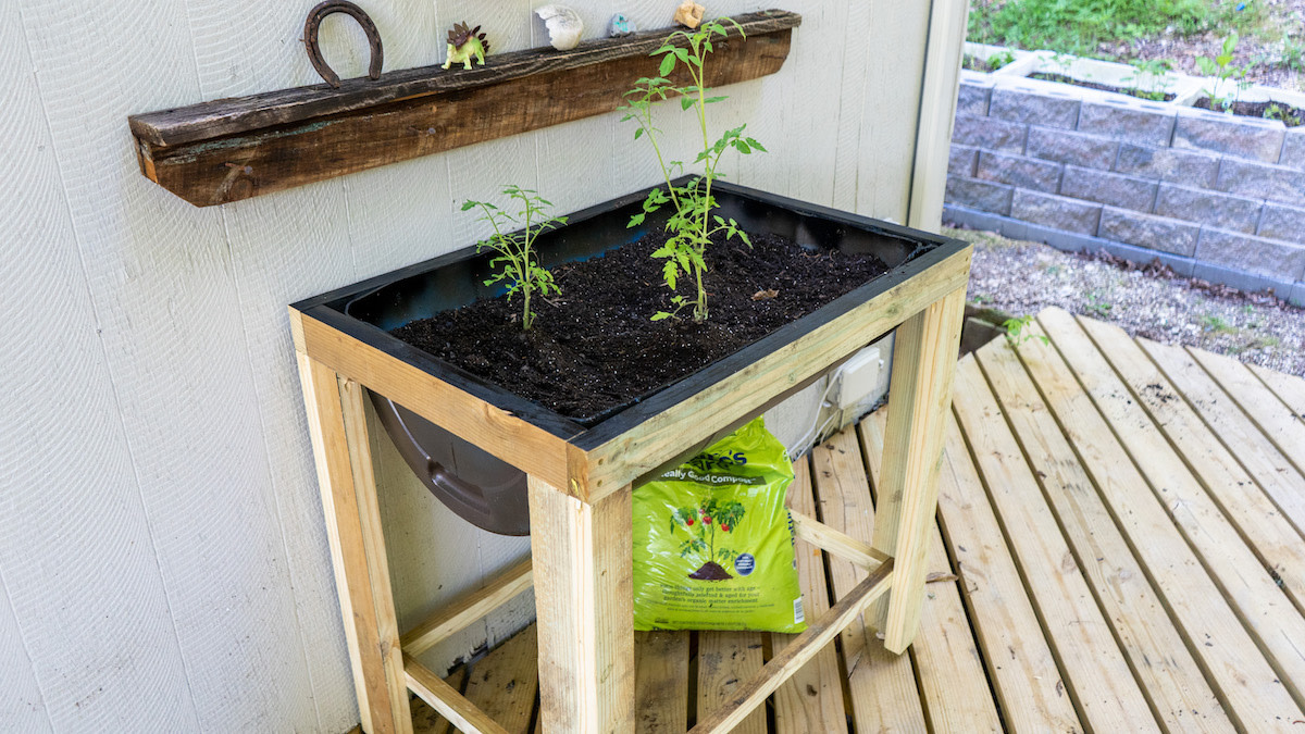 Photos: How to Build a Raised Garden Bed from a Plastic Barrel