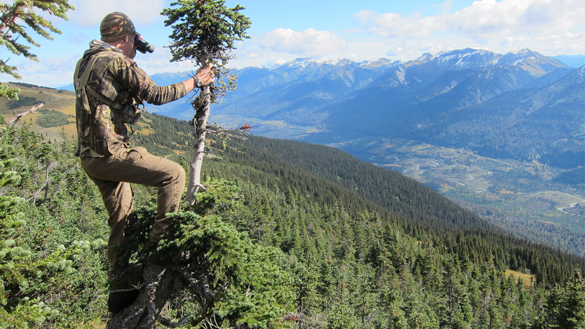 How to Choose a Hunting Spot