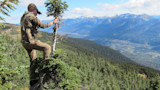 Hunter using binoculars on rocky ridge overlooking forested valley and distant mountains