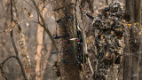 Is Mobile Whitetail Hunting Overrated? 