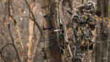 Is Mobile Whitetail Hunting Overrated?