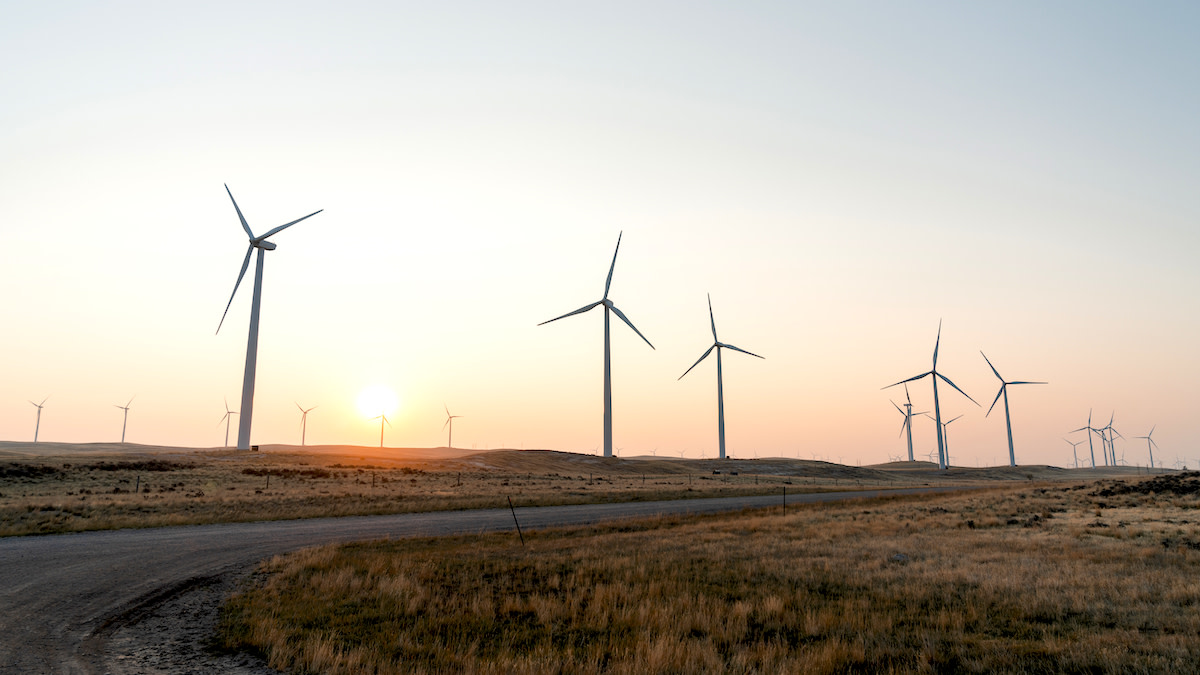 Wind turbines on rolling grassland at sunset, curved dirt road in foreground