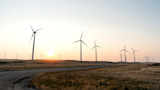 Wind turbines on rolling grassland at sunset, curved dirt road in foreground