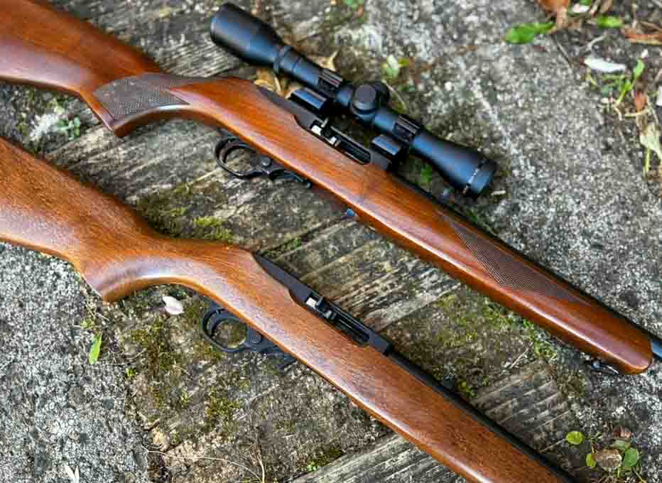 ruger-10-22-5
