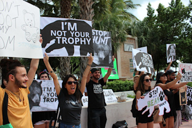 Group of protesters holding signs reading "I'M NOT YOUR TROPHY" and "STOP THE HUNT"