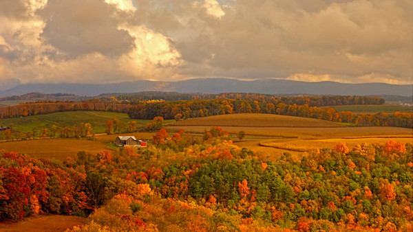 Hunter Accused of Homicide After Altercation Over Hunting Spot