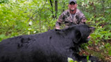 Minnesota Man Sentenced to Prison for Poaching Giant Black Bear
