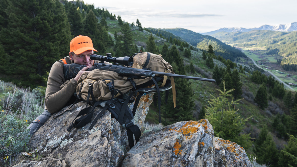 Best Long-Range Hunting Cartridges