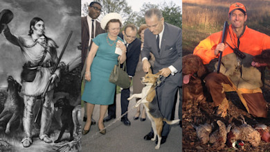 Triptych: engraved pioneer hunter with hounds; suited man petting a dog; hunter in orange with dogs and pheasants