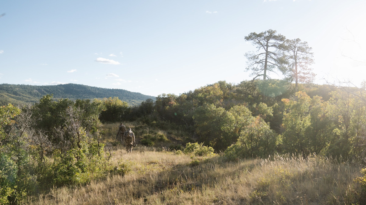 The Government Wants to Turn Public Land into ‘Affordable Housing’