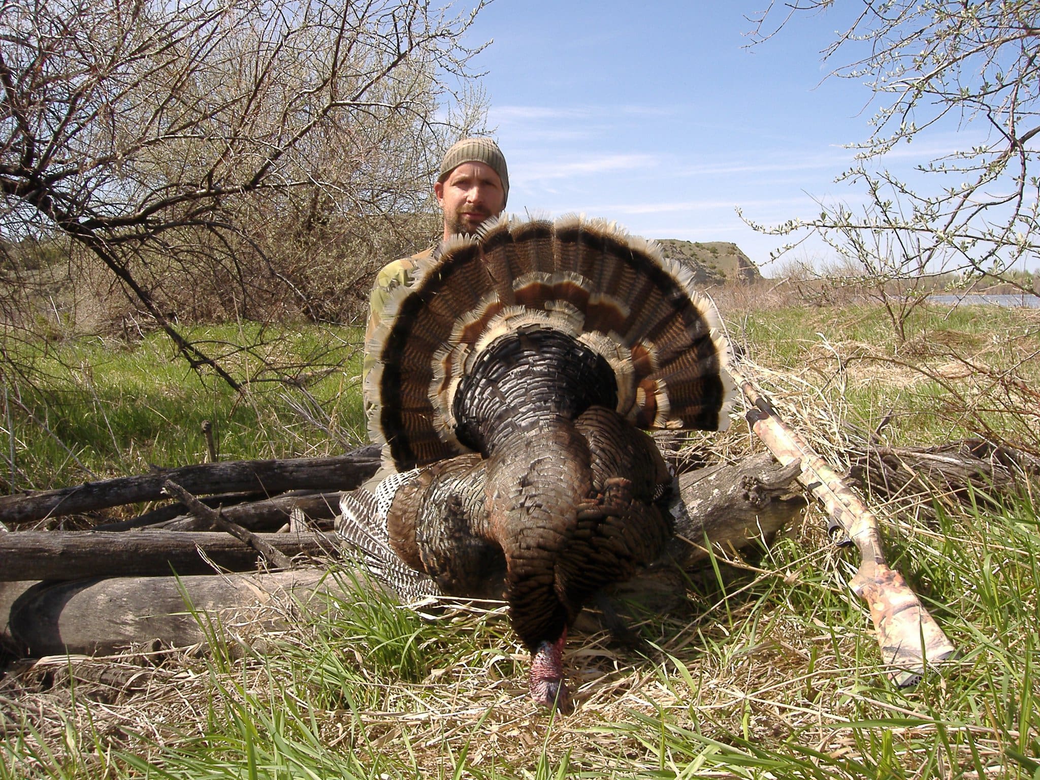 176271 150608371665489 4752075 o