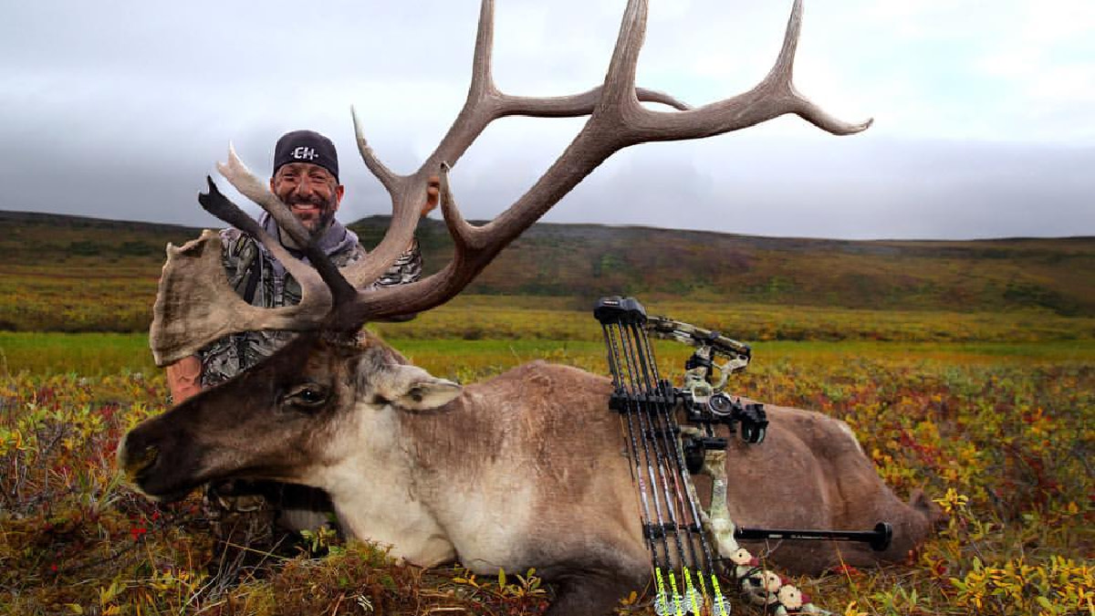 Did Cam Hanes Shoot a Caribou-Elk Hybrid?