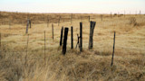 Barbed-wire fence corner with leaning wooden and metal posts in dry grassland