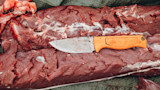 Orange-handled hunting knife resting on butchered red meat laid on a tarp