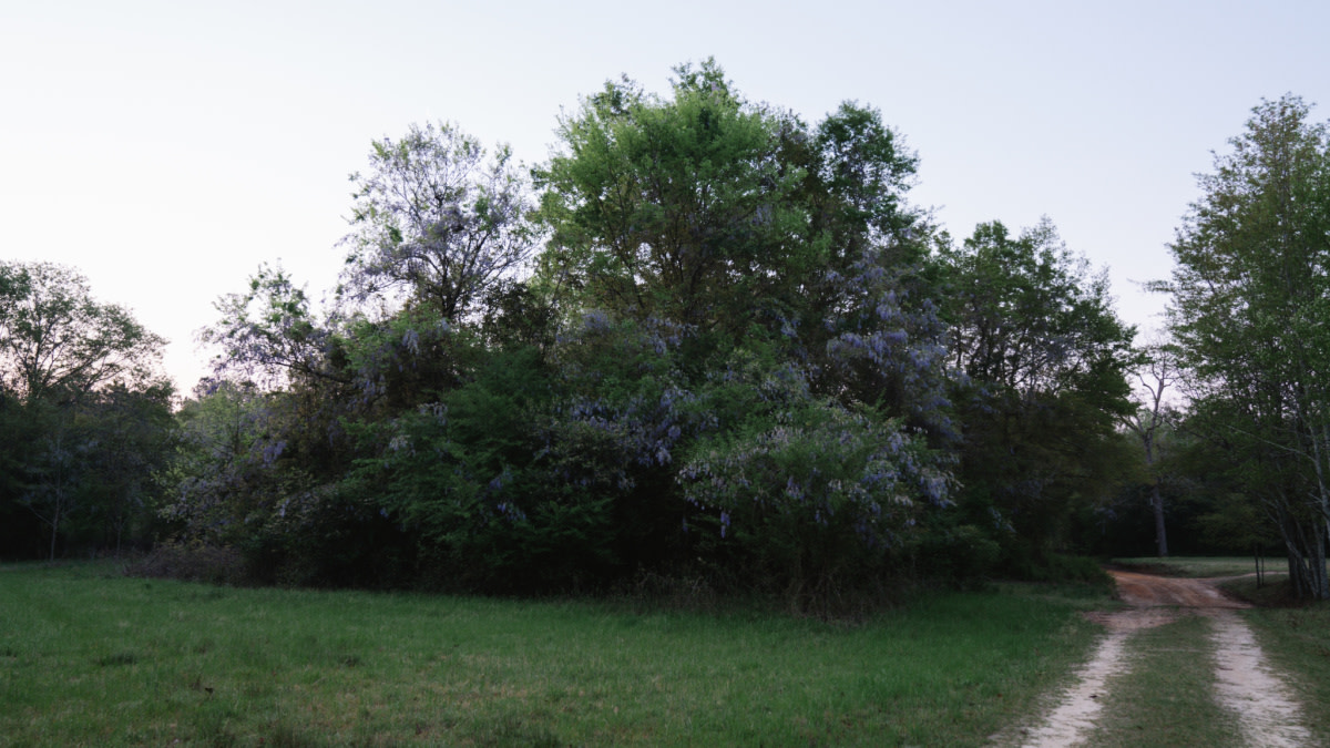 South Dakota Man Dies in Turkey Bowhunting Accident