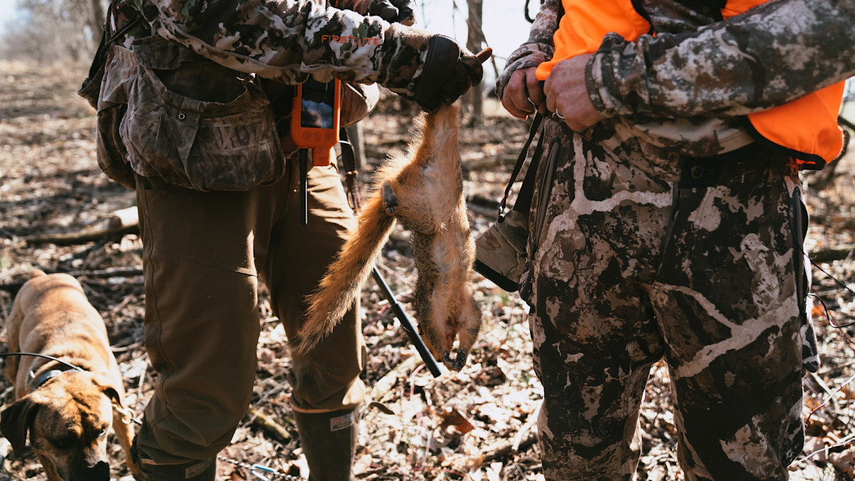 How to Hunt Spring Squirrels