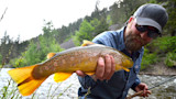 Bearded angler wearing cap and sunglasses holding a brown trout over a river