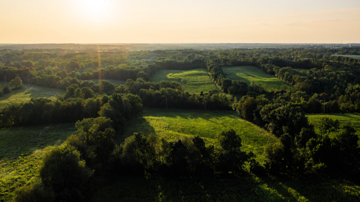 How to Improve Your Whitetail E-Scouting