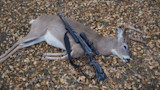 5 Gun Accessories Every Deer Hunter Should Own