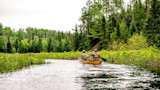 Two people paddling a yellow canoe through marshy water surrounded by dense green forest
