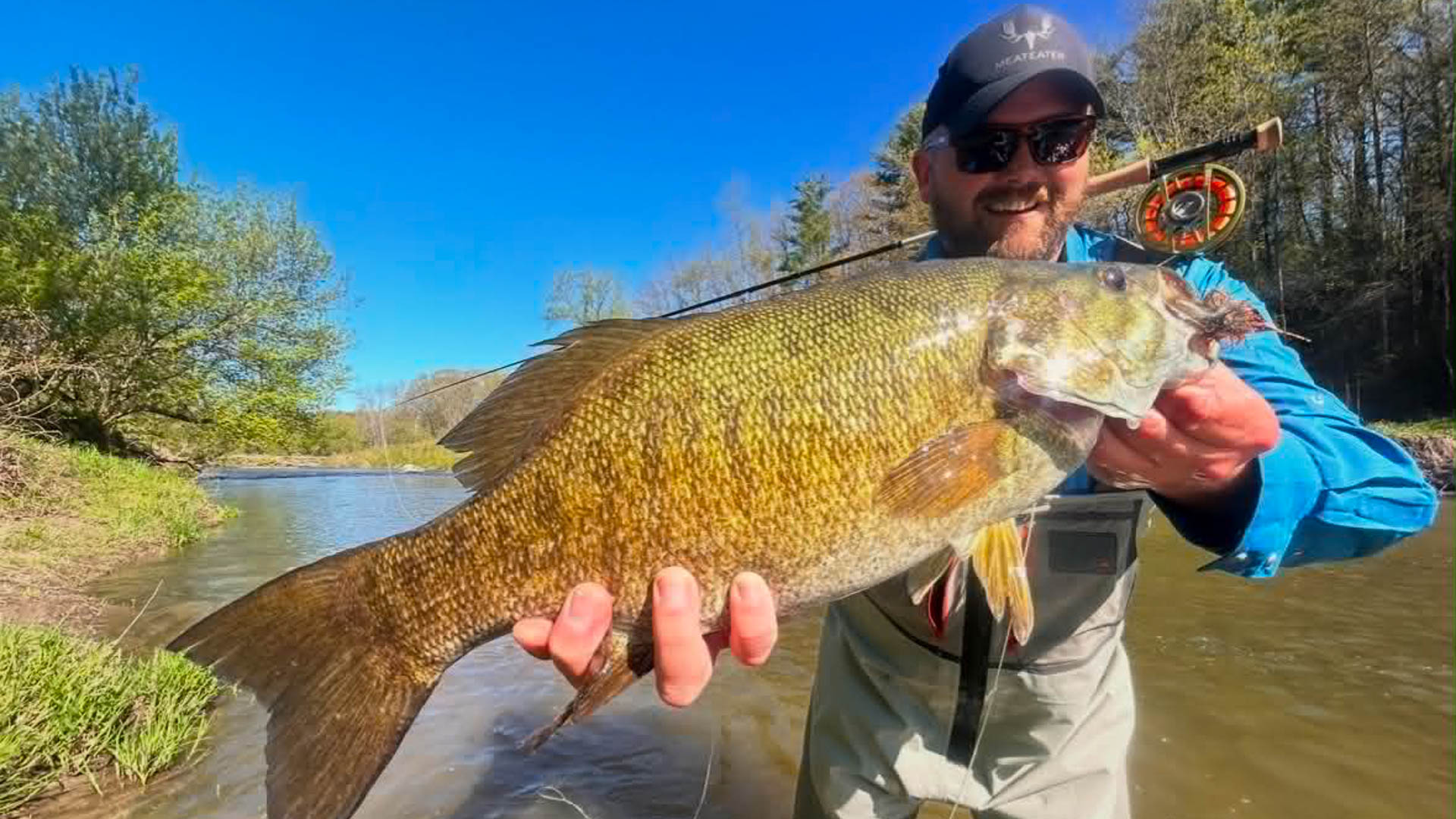 earlysummerfish