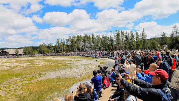 Drunk Tourist Jailed for Bad Behavior in Yellowstone