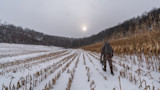 Hunter with backpack and crossbow walks through snowy harvested cornfield toward treeline under pale sun