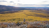 Hunter in camouflage stands on rocky ridge overlooking golden tundra at sunrise