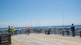 People fishing on a wooden pier with multiple fishing rods and a calm ocean horizon