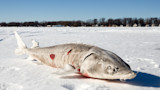 5 Of the Weirdest Things People Catch Through the Ice