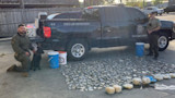 Two game wardens with K-9 by truck; rows of shark fins and bundles; text STATE LAW ENFORCEMENT and TEXAS GAME WARDEN