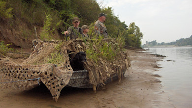 Boat blind on riverbank with three hunters and a black retriever in camouflage