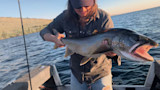 Woman holding large trout aboard a small boat on a lake
