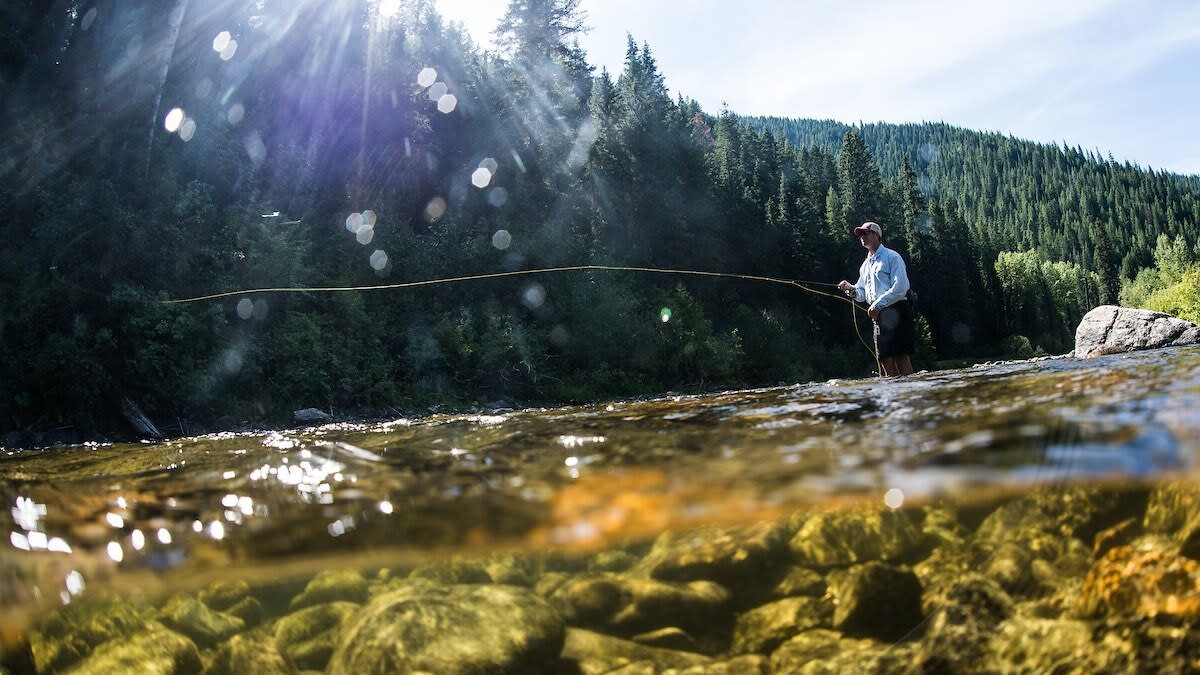 You Might Not Need (or Want) the Most Expensive Fly Rod