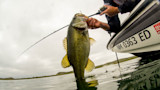 Advice from Pro Anglers: How to Out-Fish Your Friends