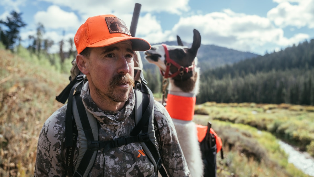 Act Now to Protect the Roadless Rule