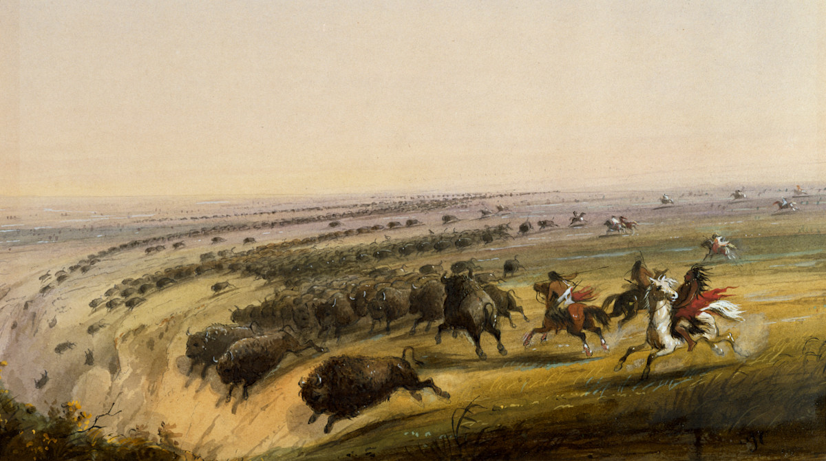 Bison herd stampeding across plains with Native American riders on horseback