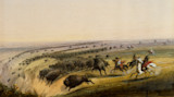 Bison herd stampeding across plains with Native American riders on horseback