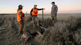 11212023_SR_MT_Mule_Deer -1-2.jpg