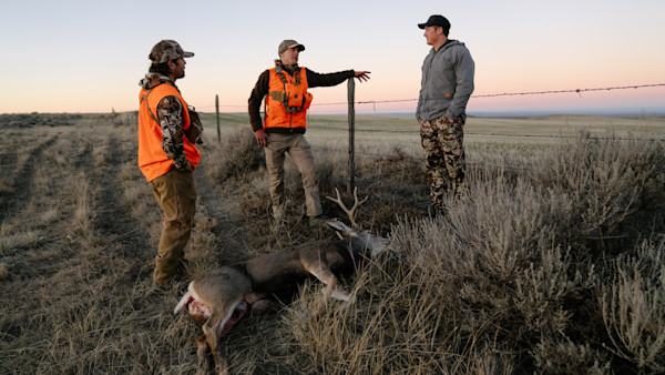 11212023_SR_MT_Mule_Deer -1-2.jpg