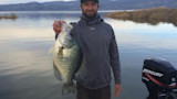California Has a New State Record Black Crappie