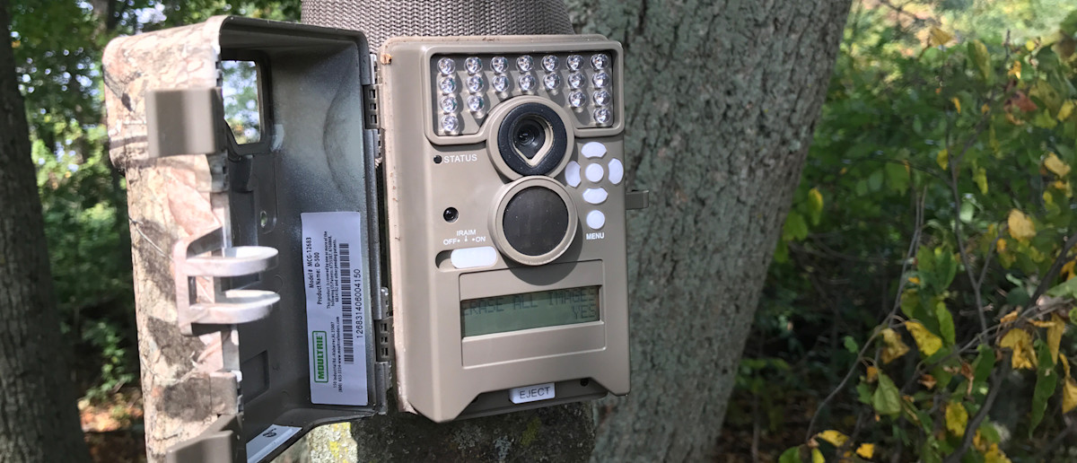 The Trouble with Trail Cameras (And A Few Exceptions)