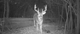 Pulling Off An Out-Of-State Whitetail Trip for Less Than a $1,000