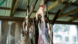 Is Hanging Meat Worth It?