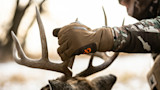 Gloved hand holding buck antlers above deer head, camo sleeve and snowy blurred background