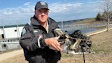 Man holding white container of dead birds and debris by lakeside dock