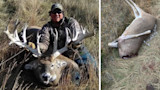 Hunter kneeling behind large antlered buck; right panel shows field-dressed deer carcass by fence
